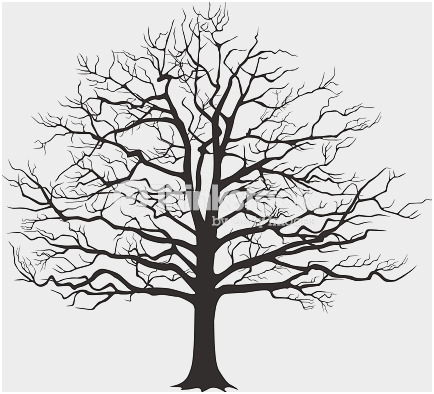 434x394 Tree Images Black And White Pretty Trunk Clipart Tree Drawing - Pretty Tree Drawing