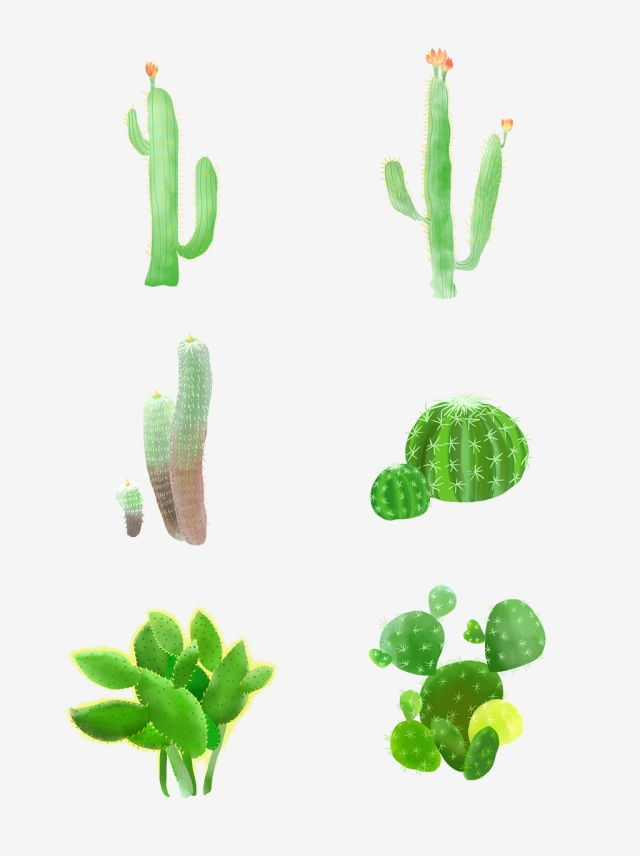 640x856 hand drawn wind fairy ball cactus set illustration drawn style - Prickly Pear Cactus Drawing