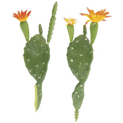 425x425 prickly pear cactus plant green plastic set of home - Prickly Pear Cactus Drawing
