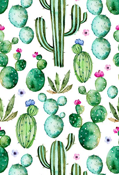 Prickly Pear Drawing At Paintingvalley.com 