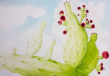 375x259 Prickly Pear Drawing - Prickly Pear Drawing