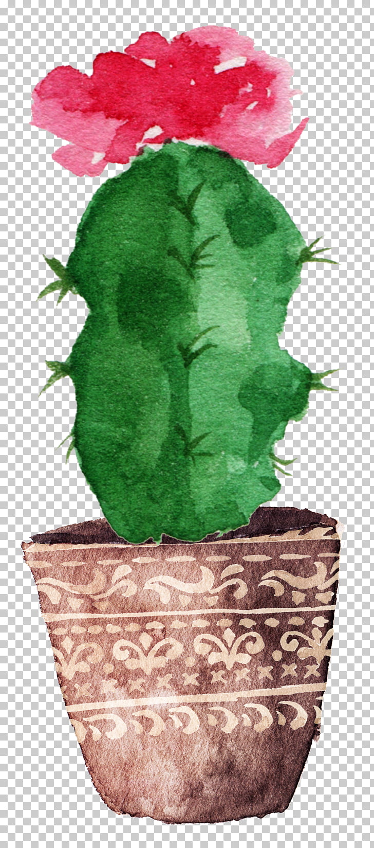 728x1649 Cactaceae Watercolor Painting Drawing Canvas, Prickly Pear Cactus - Prickly Pear Drawing