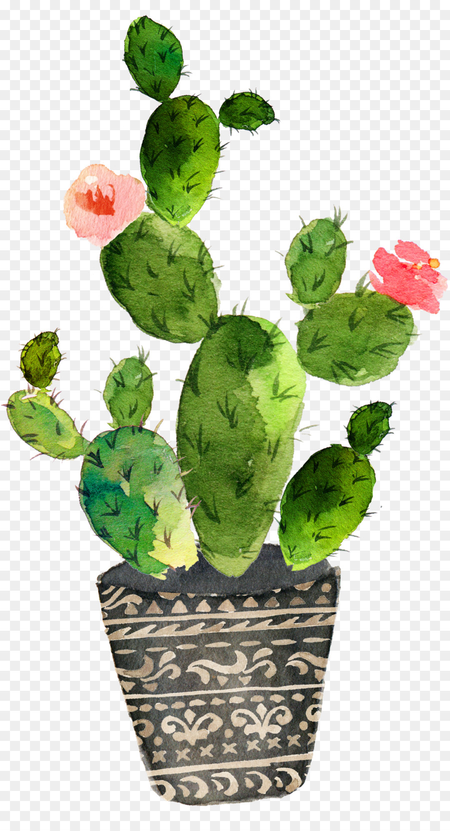 900x1660 Download Cactaceae Watercolor Painting Art Drawing Green Prickly - Prickly Pear Drawing