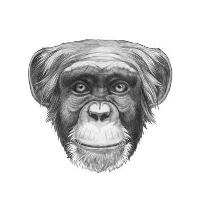 400x400 original drawing of monkey isolated on white background art print - Primate Drawing