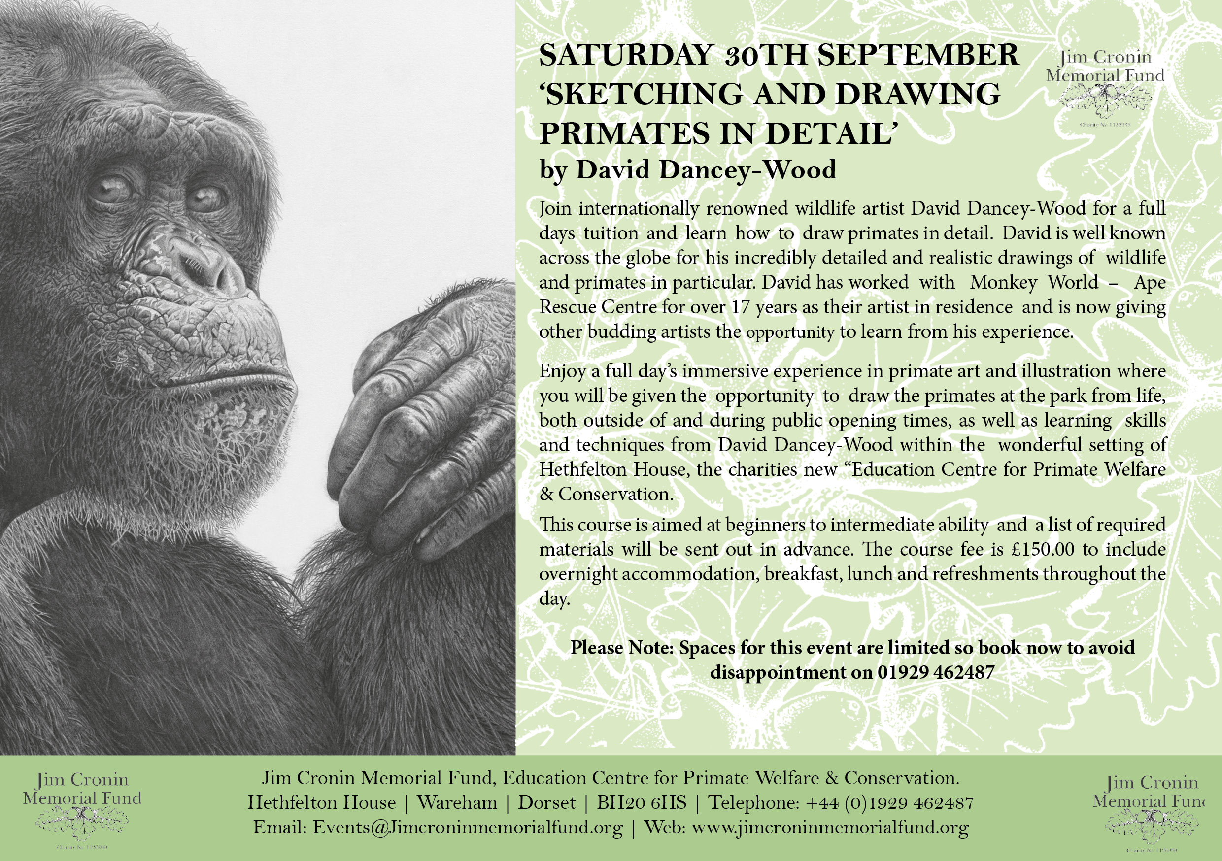 2480x1748 primate drawing art class with david dancey wood - Primate Drawing