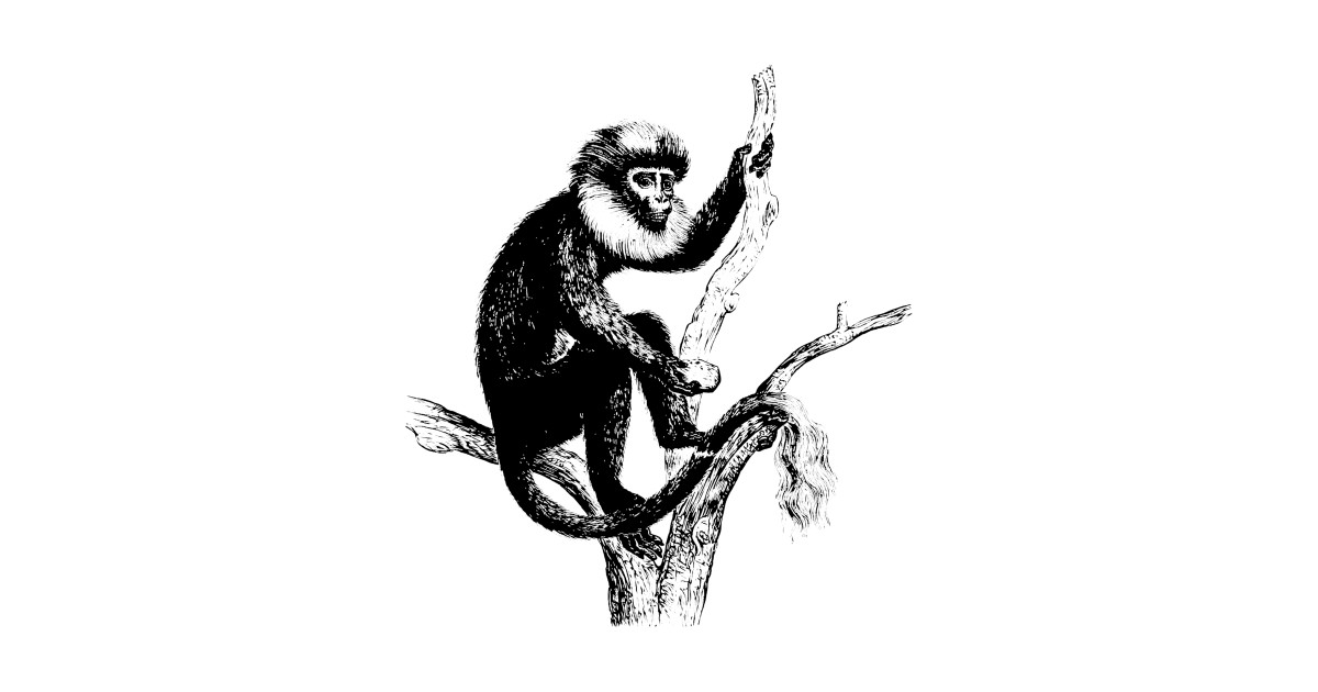 1200x630 primate nature drawing - Primate Drawing