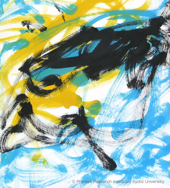 700x776 the drawings - Primate Drawing