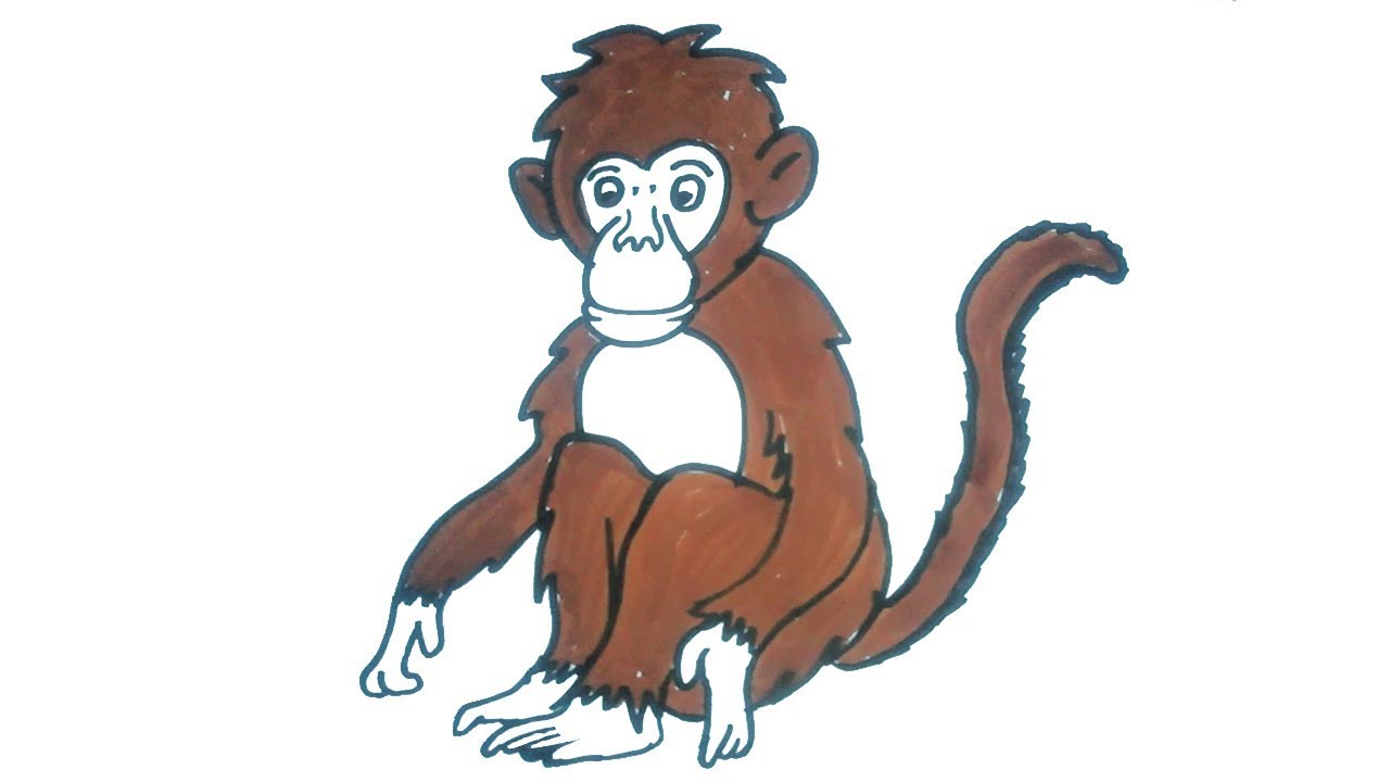 1280x720 how to draw a monkey easy step - Primate Drawing