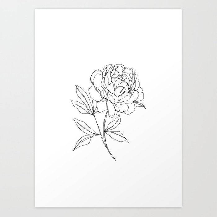 700x700 Botanical Illustration Line Drawing - Print Drawing
