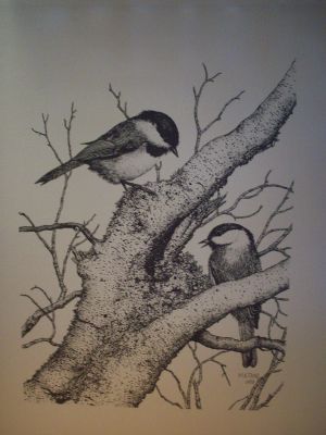 300x400 Chicadee Pen Ink Print - Print Drawing