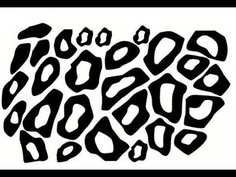 480x360 How To Draw Cheetah Print Step - Print Drawing