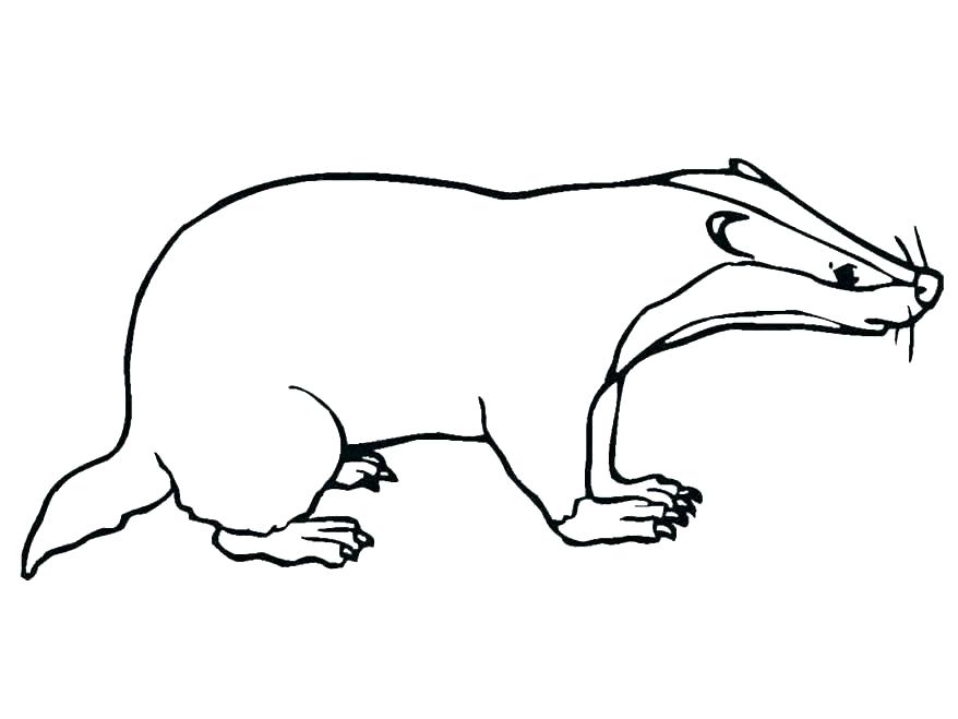 878x659 popular kids coloring pages to print exciting pictures for colour - Printable Drawing Pages