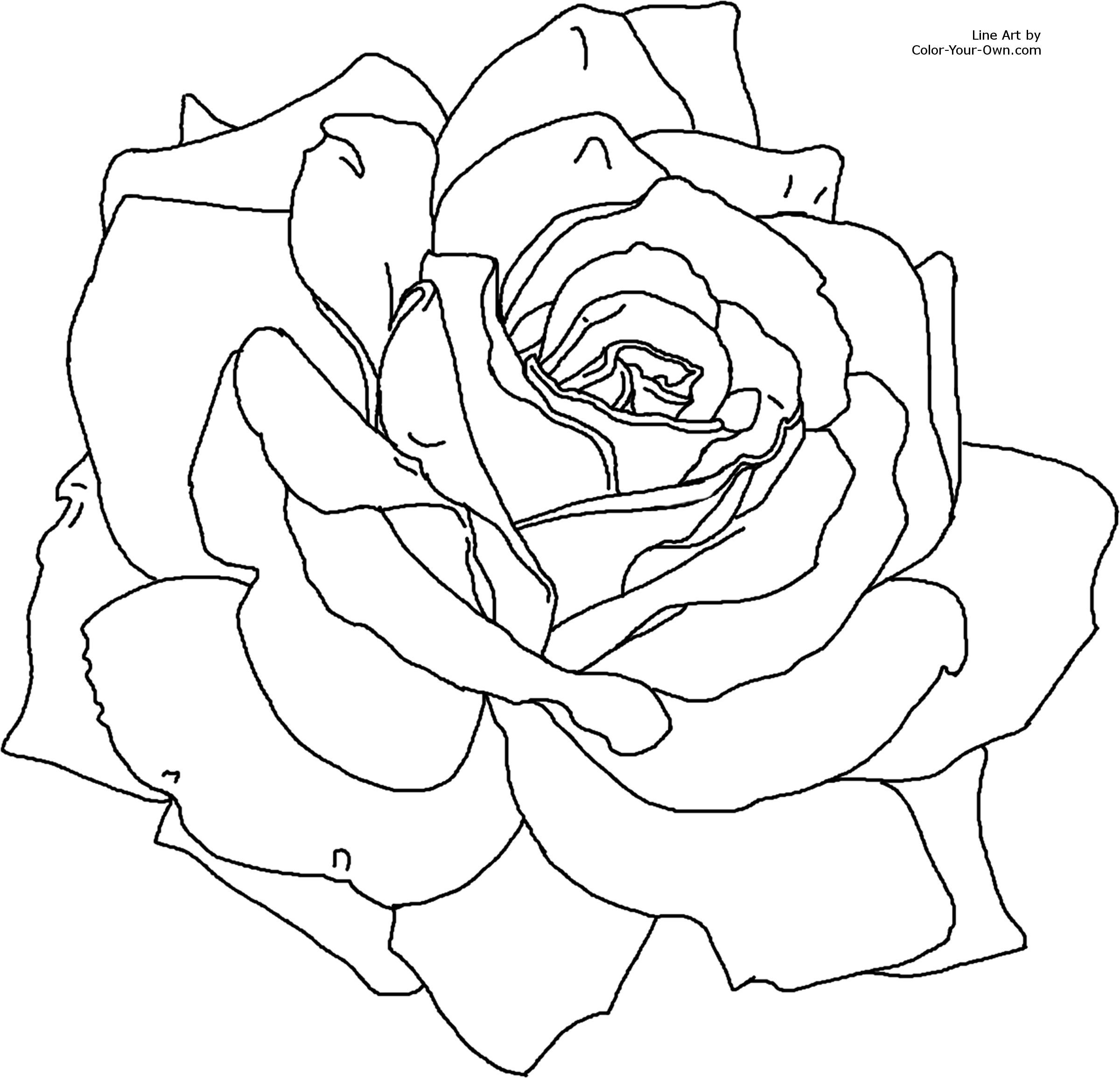 2400x2311 Flower - Printable Drawing Pages