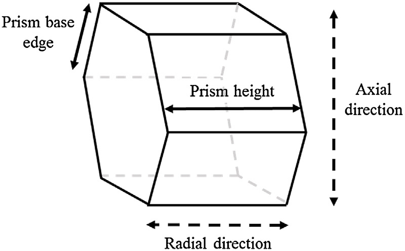 800x497 schematic drawing of a cork cell as a hexagonal prism showing - Prism Drawing