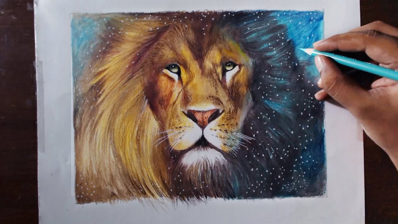 1280x720 drawing a lion - Prismacolor Drawings