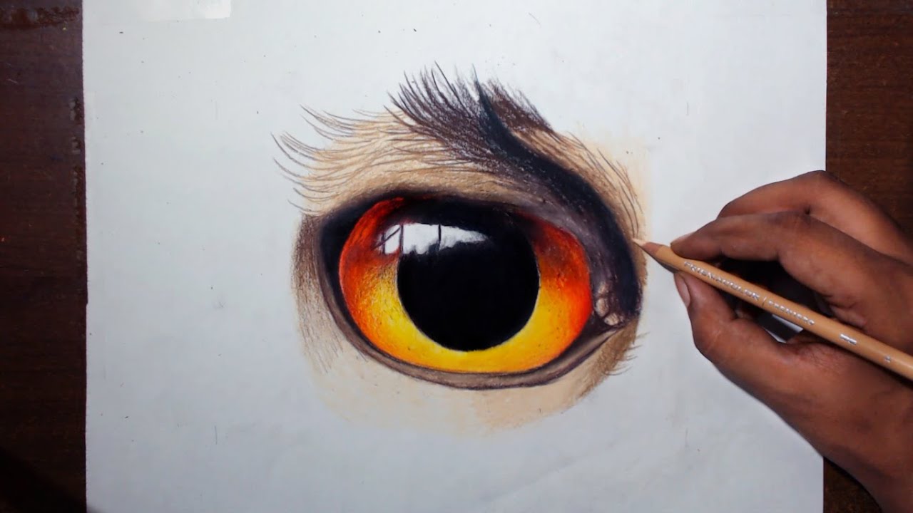 1280x720 drawing an owl eye - Prismacolor Drawings
