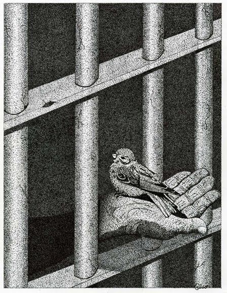 448x576 we think a caged bird sings when indeed it crys art that makes - Prison Bars Drawing