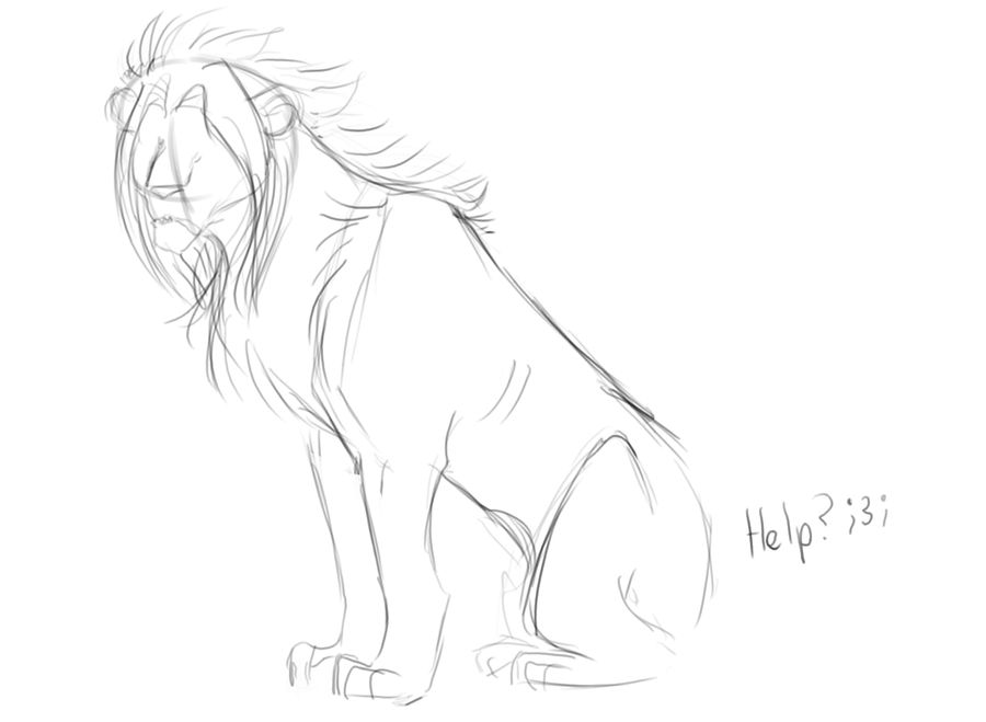 900x659 problem drawing sitting lion - Problem Drawing
