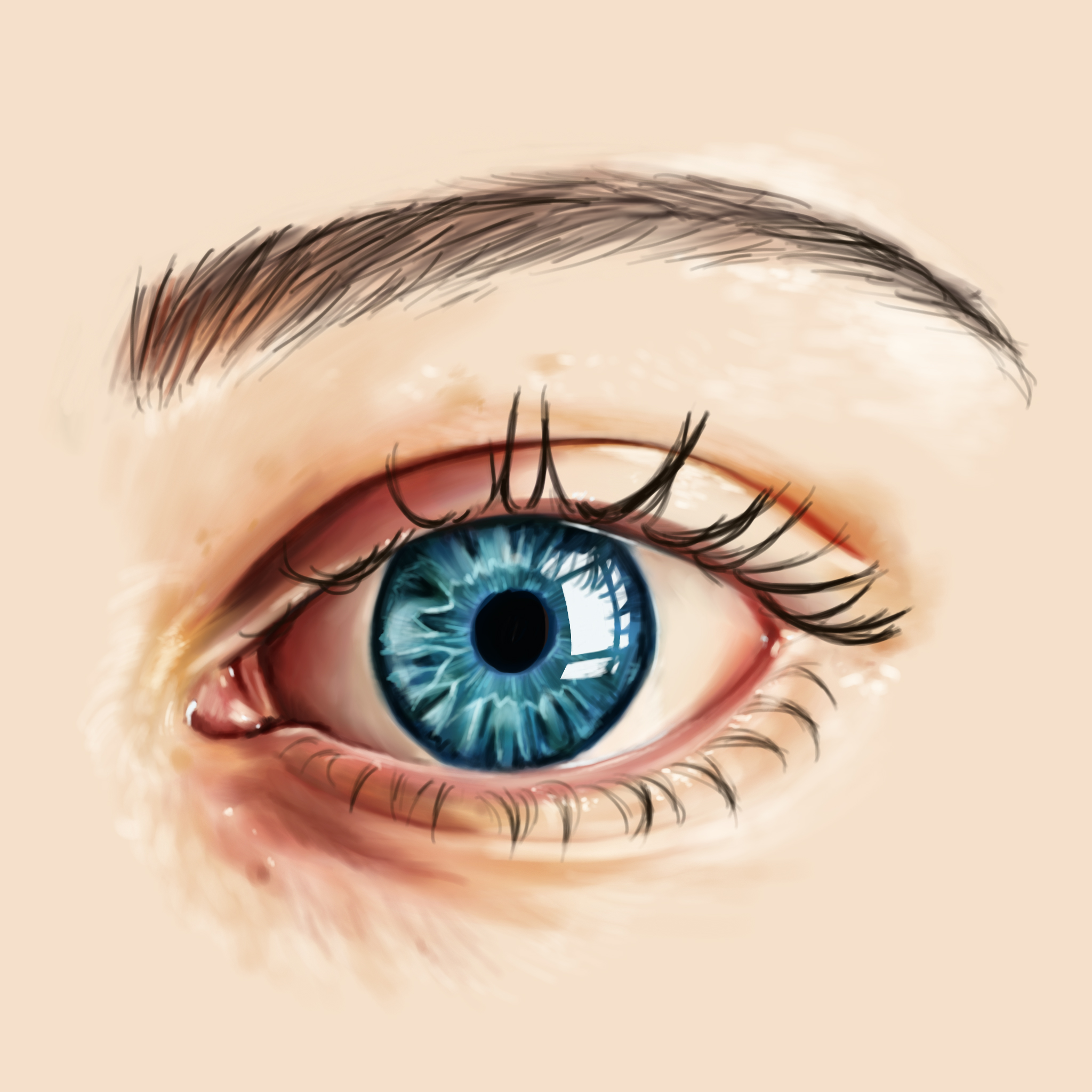 2048x2048 procreate on ipad pro - Procreate Drawing