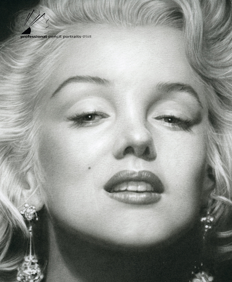 459x557 professional drawings fiegrades drawing - Professional Drawing