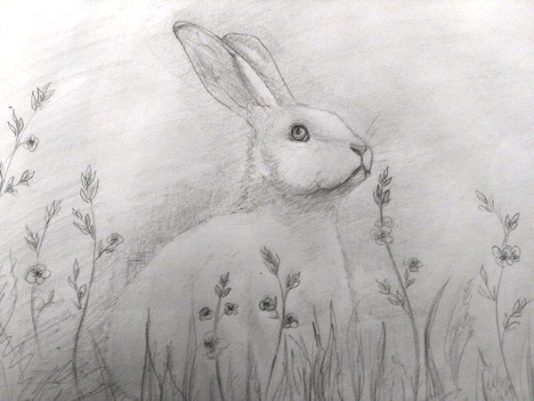 600x450 Rusart - Professional Drawing