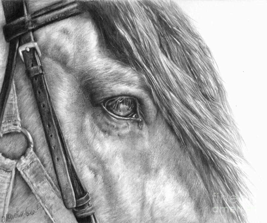 900x751 Rive Gauche Drawing - Professional Drawing