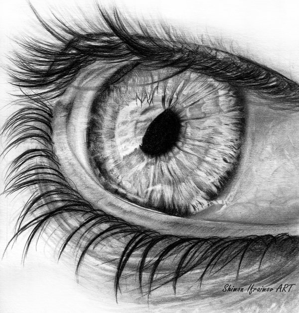 600x628 professional draw - Professional Drawing