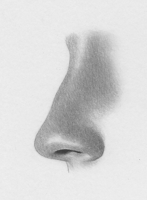 478x649 How To Draw A Nose From The Side Steps Rapidfireart - Profile Drawing