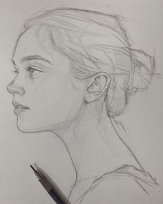 236x294 profile drawing - Profile Drawing