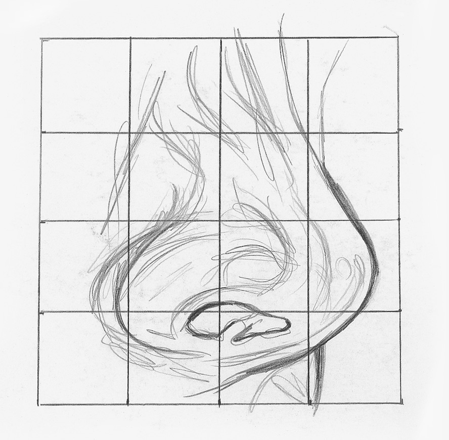 888x870 Draw Facial Features With This In Depth Beginner's Guide - Profile Drawing