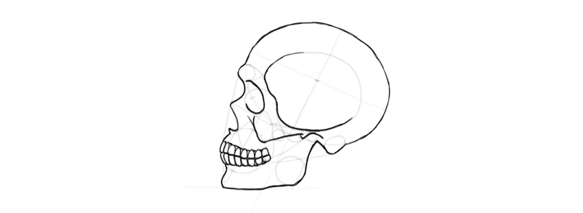 850x311 how to draw a skull in profile, step - Profile Picture Drawing