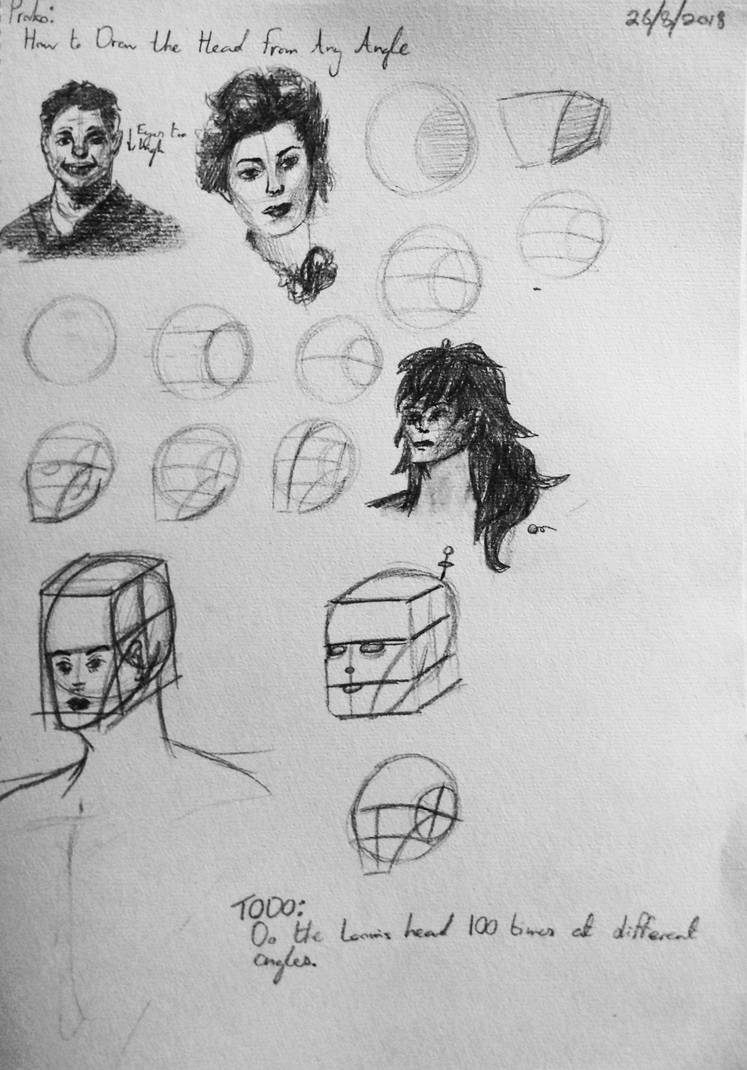 747x1070 proko how to draw the head from any angle - Proko Head Drawing