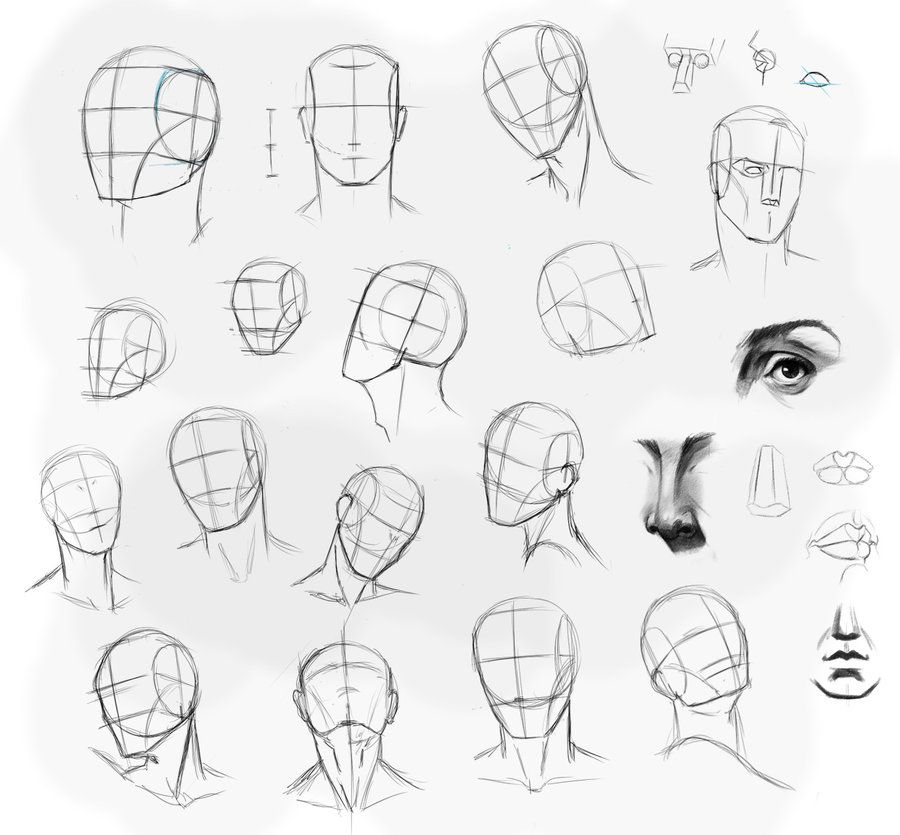 900x835 proko tutorials - Proko Head Drawing