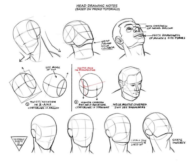 728x623 proko head handouts in reference drawings, drawing heads - Proko Head Drawing
