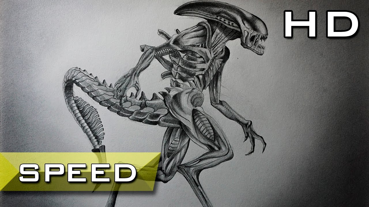 1280x720 Speed Drawing Alien Xenomorph - Prometheus Drawing