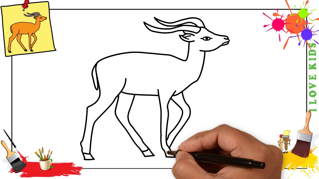 1280x720 how to draw an antelope easy step - Pronghorn Drawing