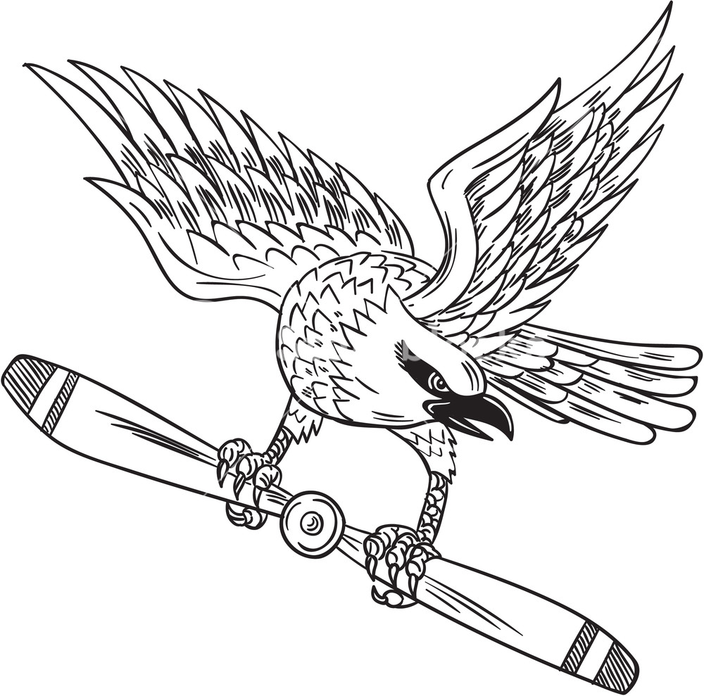 1000x989 Drawing Sketch Style Illustration Of A Shrike, A Carnivorous - Propeller Drawing