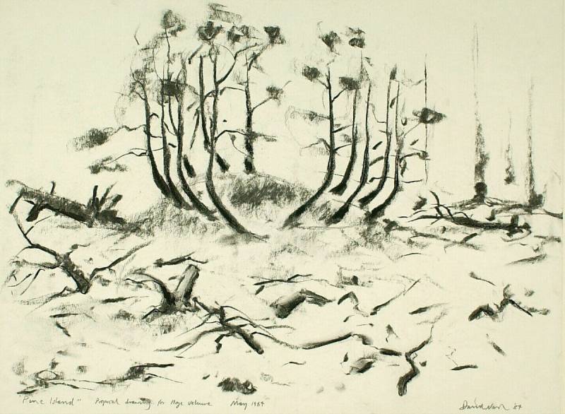 800x586 Pine Island - Proposal Drawing