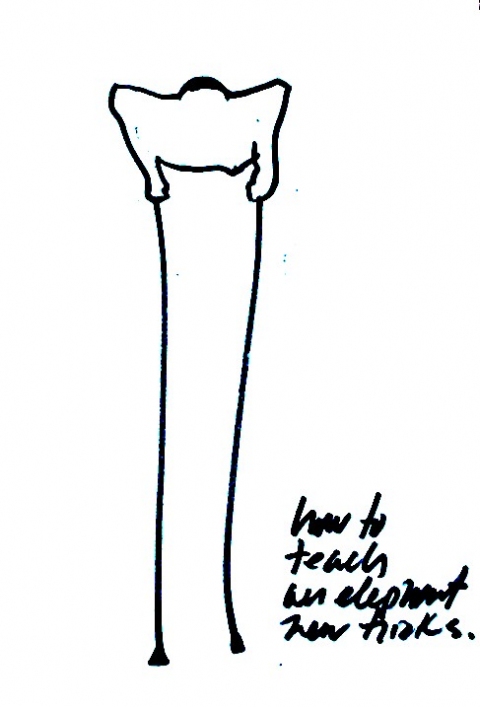 480x707 Alexander Viscio Drawingsproposals - Proposal Drawing