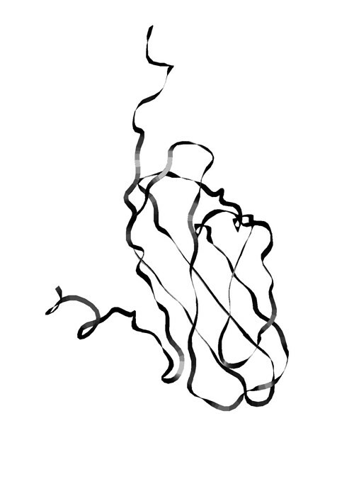500x676 do you want to see a drawing of your favorite protein protein art - Protein Drawing