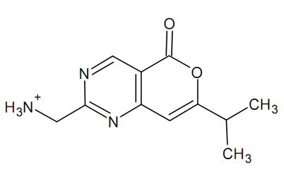 402x250 draw any molecule and dock it flexibly to any protein - Protein Drawing