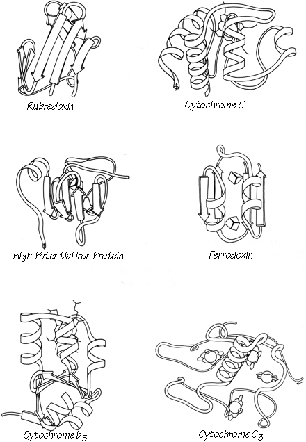 440x636 Schematic Drawing The Anatomy Taxonomy Of Protein Structure - Protein Drawing