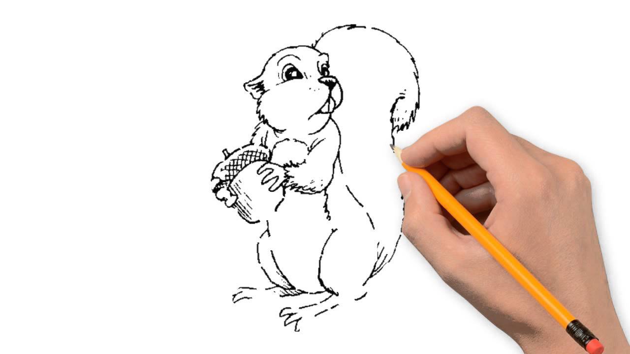 1280x720 Protein Animals Pencil To Draw Step - Protein Drawing