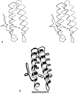 276x331 Antiparallel The Anatomy Taxonomy Of Protein Structure - Protein Drawing