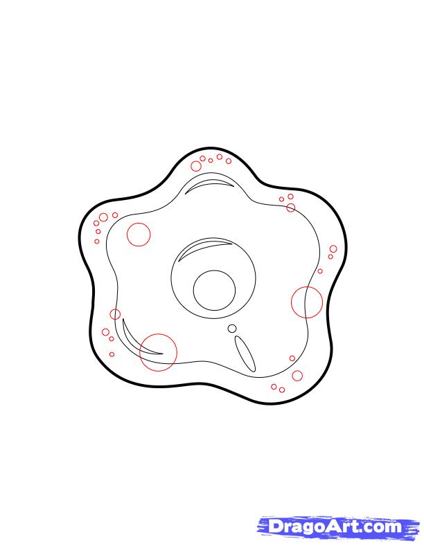 612x792 Draw A Kawaii Amoeba, Step - Protist Drawing