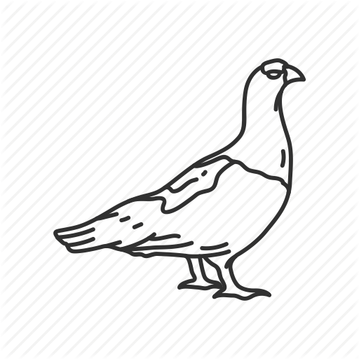 512x512 alaska, birds, state, state birds, state symbol, usa, willow - Ptarmigan Drawing