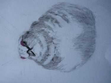 375x281 ptarmigan drawing - Ptarmigan Drawing