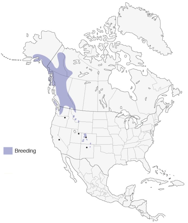 720x854 white tailed ptarmigan range map, all about birds, cornell lab - Ptarmigan Drawing