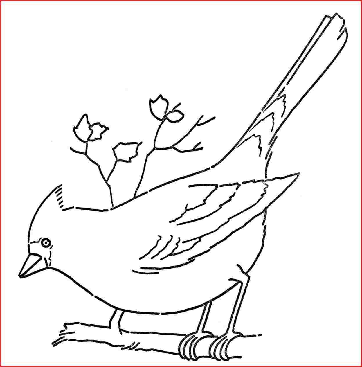 1247x1264 rock pencil drawing bird ptarmigan b size graphite pencil drawing - Ptarmigan Drawing