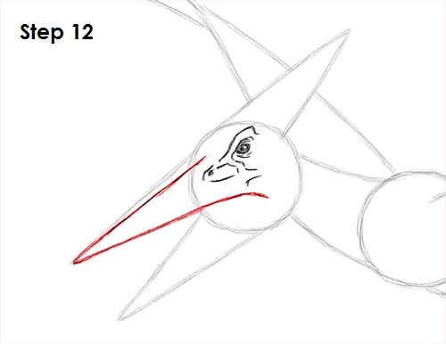 500x386 How To Draw A Pteranodon - Pteranodon Drawing